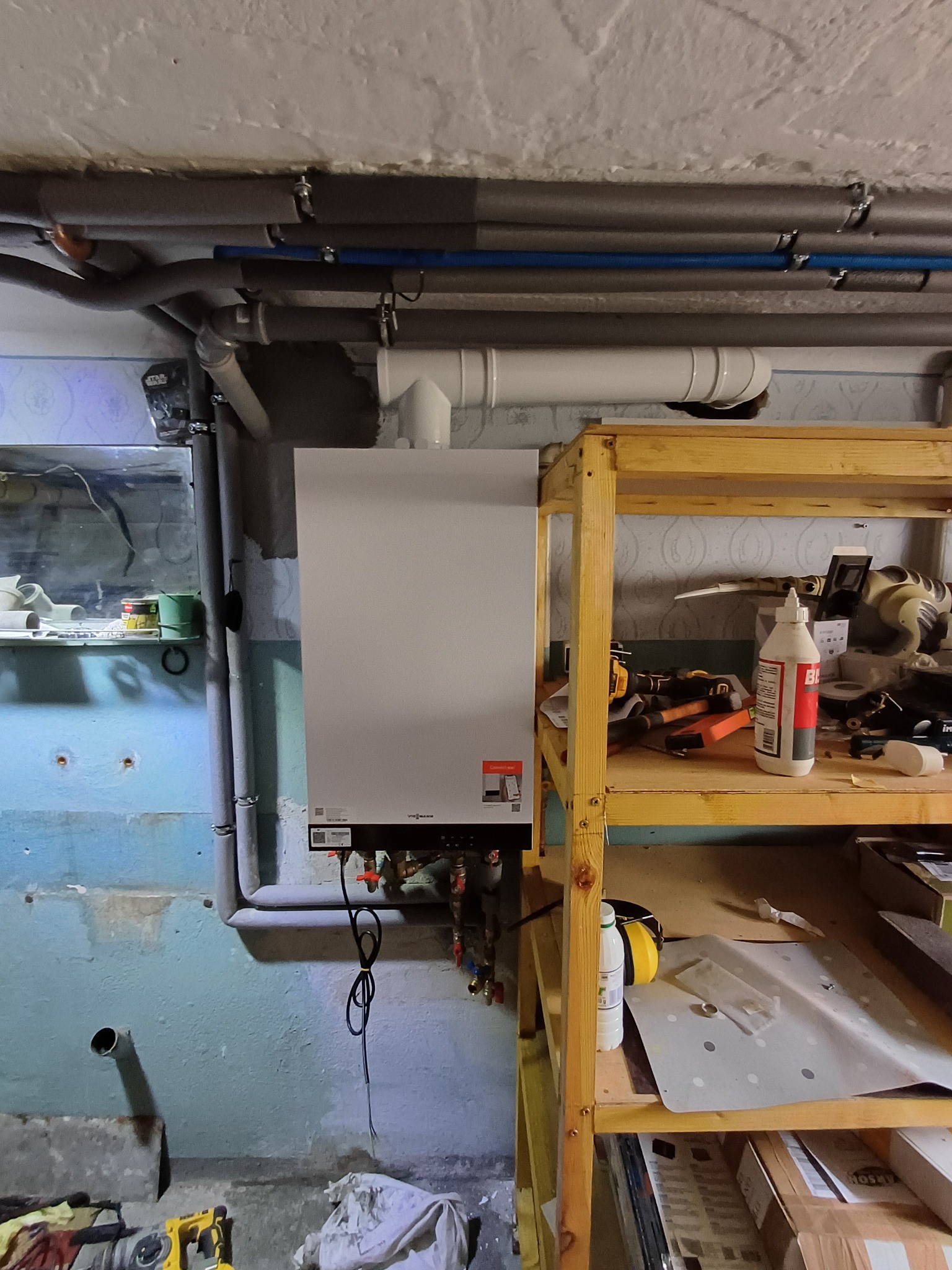 Biały piec gazowy Viessmann zamontowany na niebieskiej, częściowo wykończonej ścianie w piwnicy, z rurami i półką z narzędziami obok.