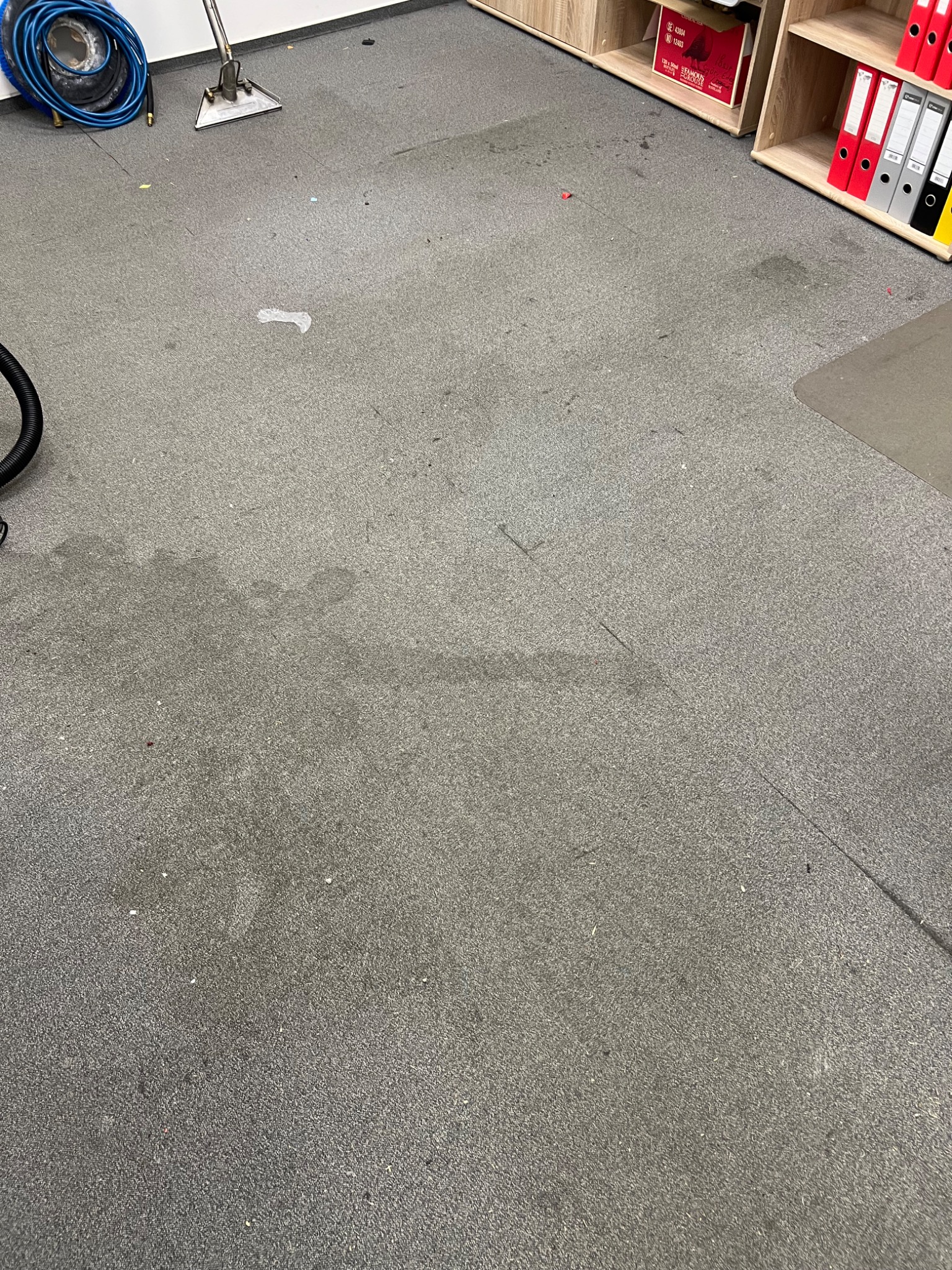 Szary dywan biurowy po praniu, z widocznymi mokrymi plamami i fragmentem sprzętu do czyszczenia. W tle regał z segregatorami i pudłem.