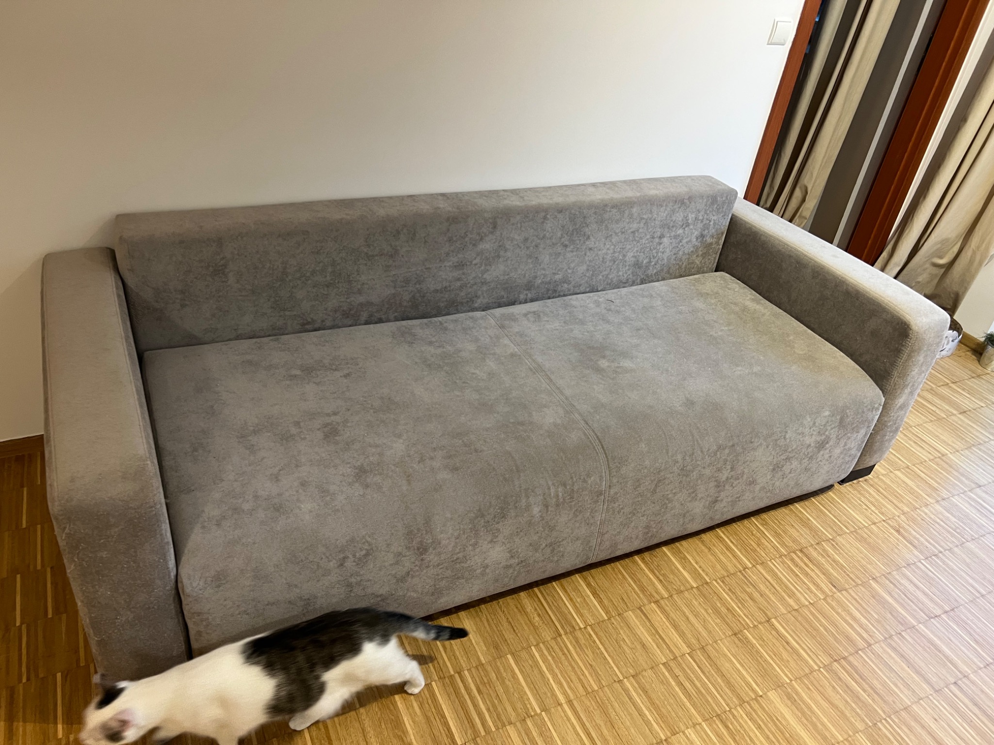 Szara, rozłożona kanapa z tapicerką w salonie. Obok niej widać fragment podłogi i kota. W tle zasłonięte okno.