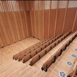 WIESŁAW OPIELA-PARKIETY.PL - Wnętrze audytorium z drewnianą podłogą i ścianami z pionowych paneli. Rzędy krzeseł na stopniach, widok z góry. Akcent na naturalne materiały i minimalistyczny design.