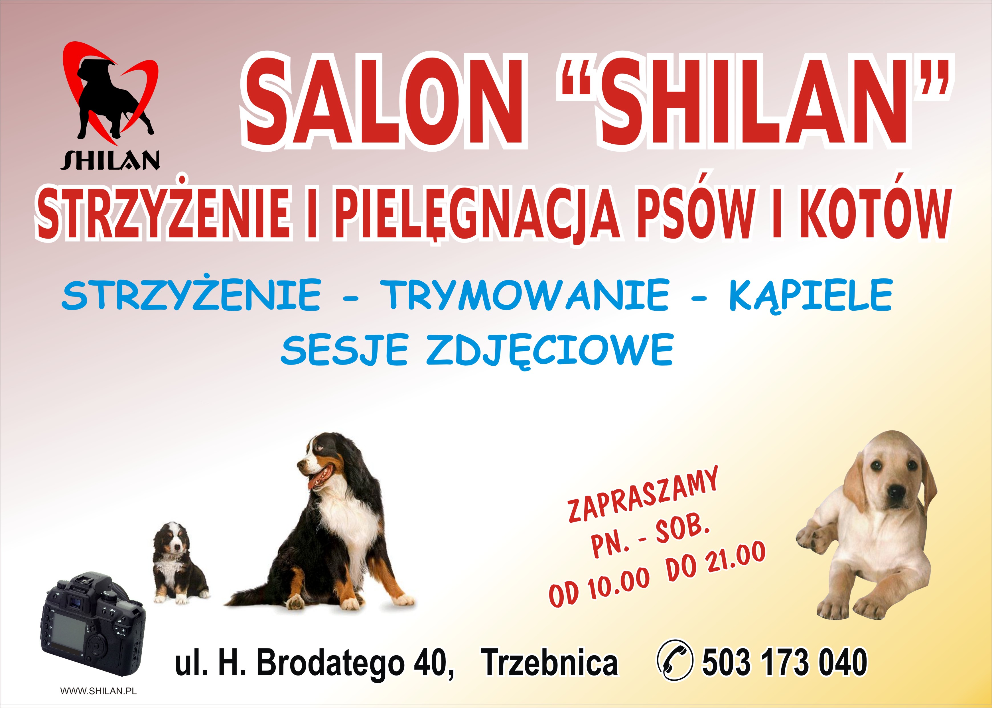 Strzyżenie Psów Trzebnica