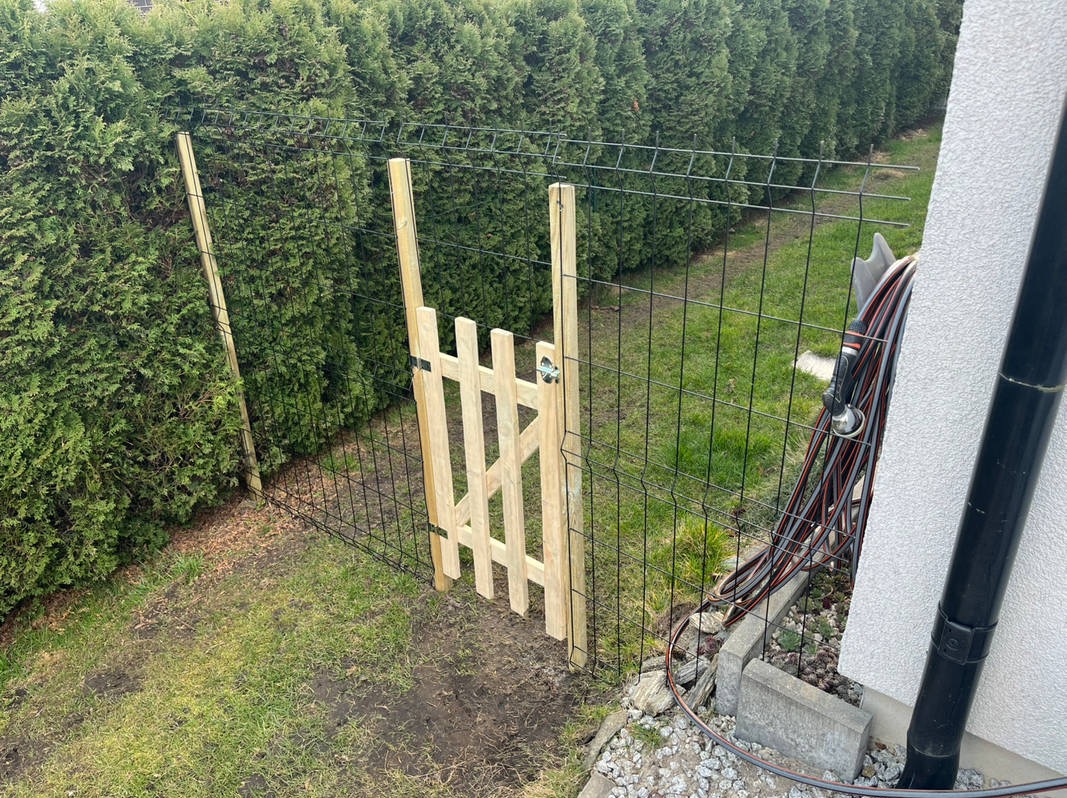 Nowa, drewniana furtka w metalowej siatce ogrodzeniowej, z widocznymi słupkami i zielonym żywopłotem w tle. Furtka jeszcze nie impregnowana.