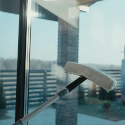 LIP GLOSS mistrzyni czystości - Mycie okna z zewnątrz za pomocą mopa na teleskopowej rączce. Widok na dom z ogrodem przez czyszczoną szybę.