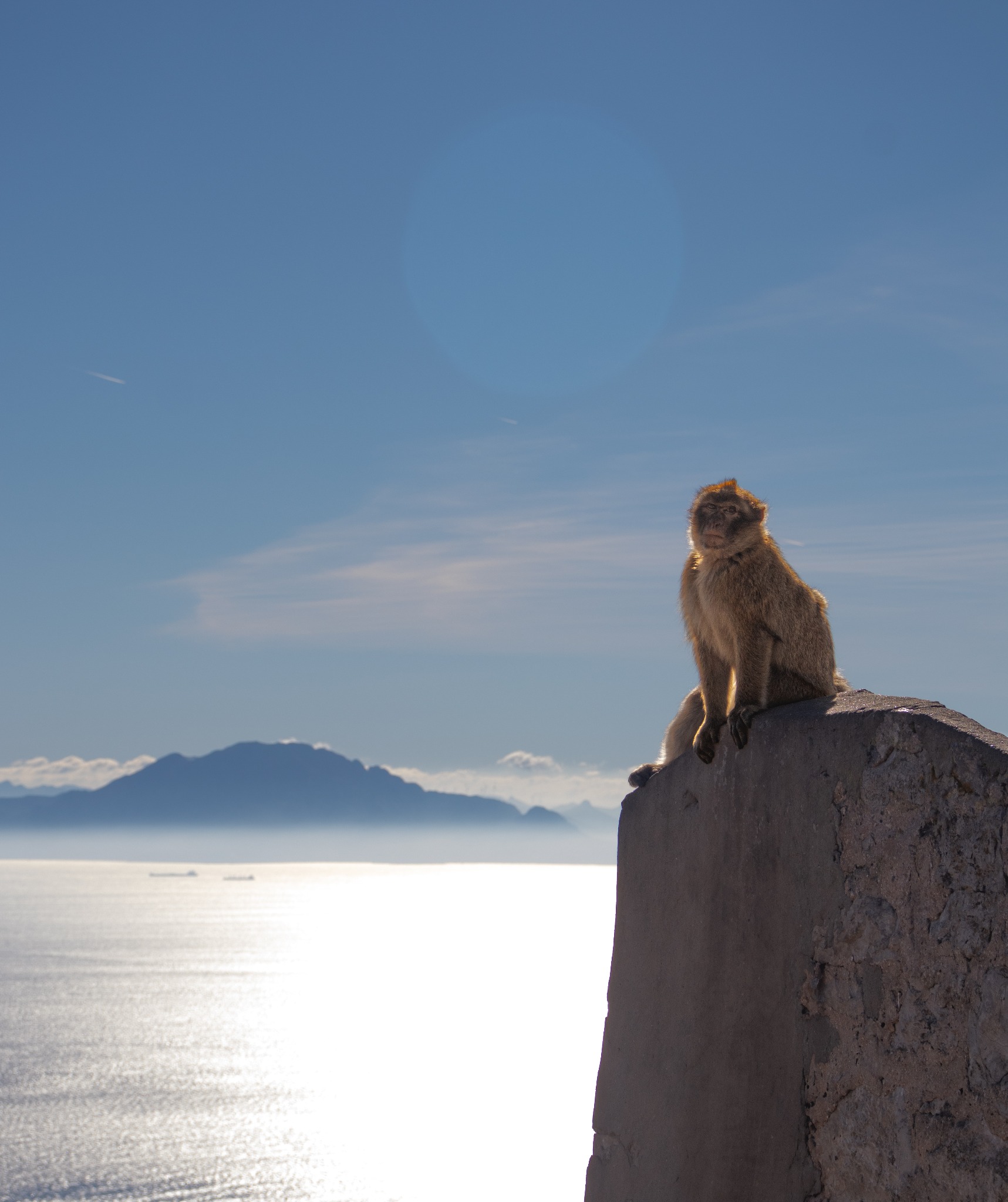 Makak siedzi na kamiennym murku z widokiem na morze i góry w oddali, oświetlony promieniami słońca. Jasne niebo z delikatnymi chmurami w tle.
