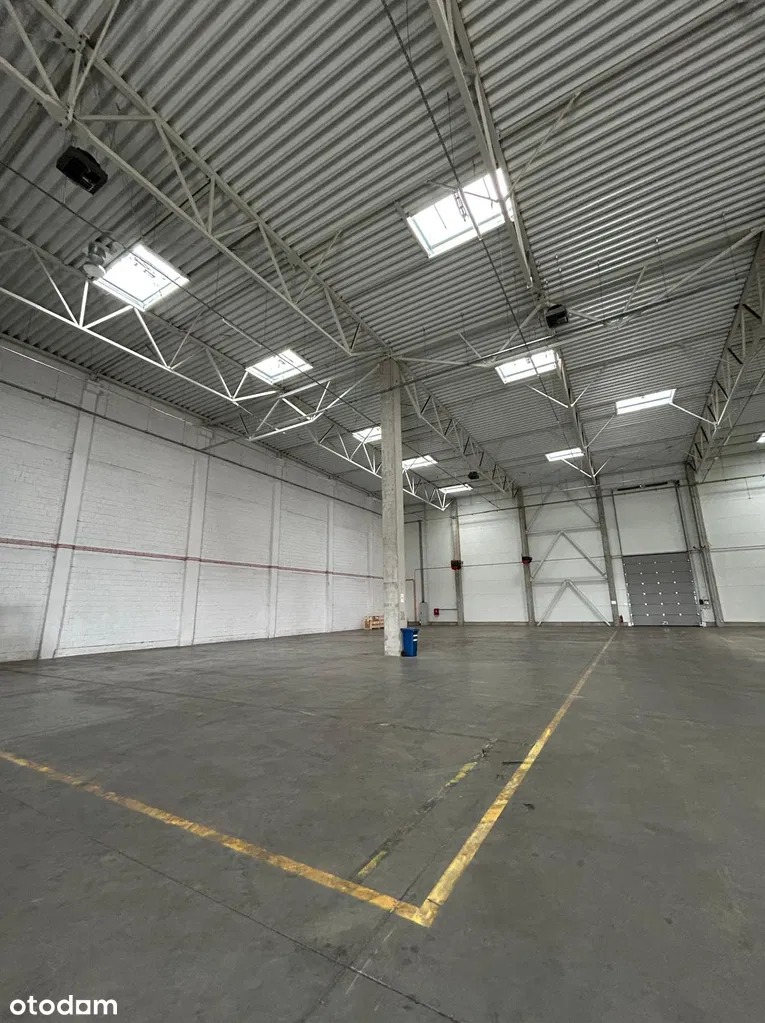 Przestronne wnętrze magazynu z betonową podłogą i białymi ścianami. Widoczne żółte linie wyznaczające strefy oraz stalowa konstrukcja dachu z oknami.