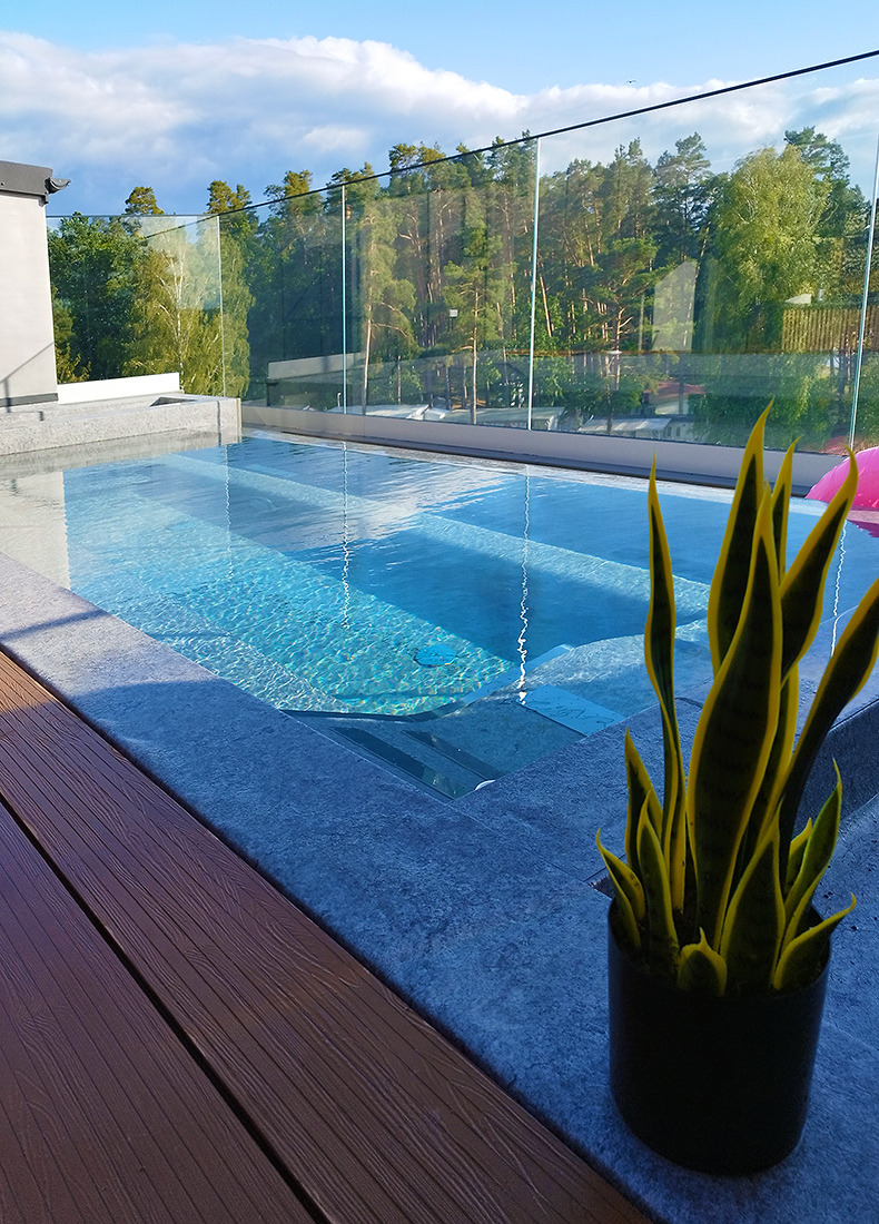 Nowoczesny basen z krystaliczną wodą, szklanym ogrodzeniem i drewnianym tarasem. W tle widok na las. Roślina w doniczce w prawym dolnym rogu.