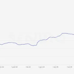Widoczność TOP50 - branża: moda.