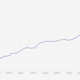 ANKARE MICHAŁ WORONIN - Widoczność TOP50 - sprzedaż podłóg drewnianych i paneli.
