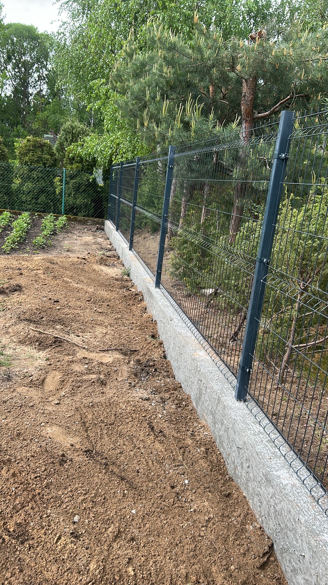 Szary panelowy płot na betonowej podmurówce, widok z boku, z ziemią i zielenią w tle. Świeżo posadzona zieleń wzdłuż ogrodzenia.