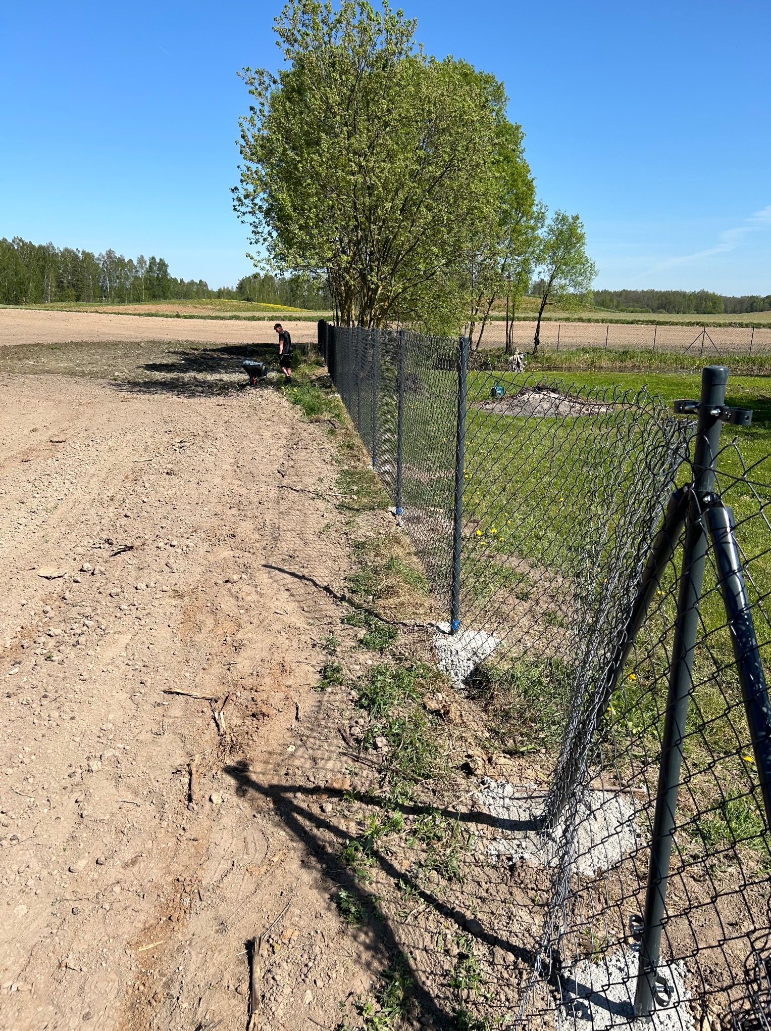 Długi, nowy płot z siatki, z betonowymi podstawami słupków, rozciąga się wzdłuż granicy pola. W tle widoczny pracownik z taczką i zielone drzewa pod błękitnym niebem.