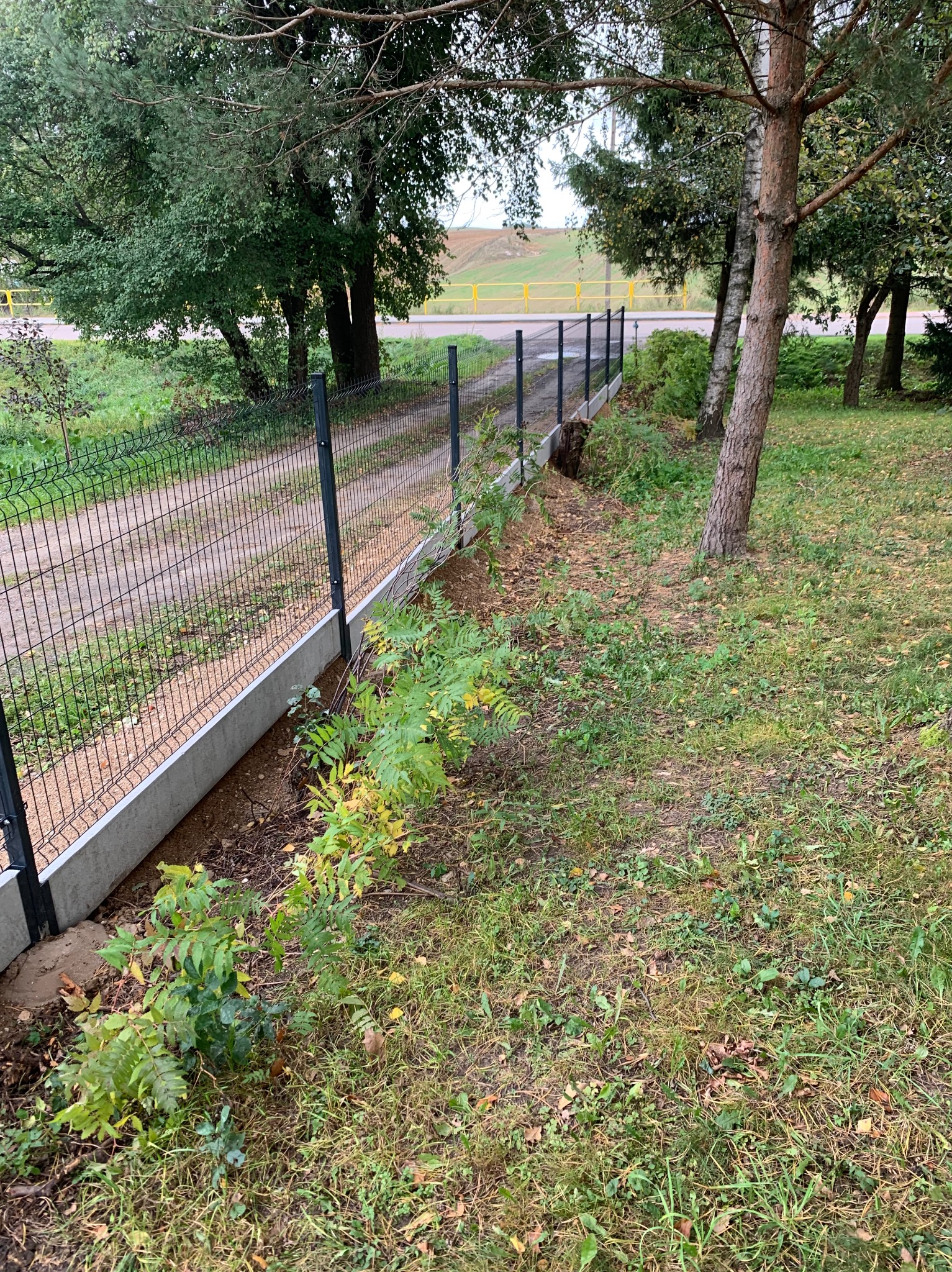 Nowoczesne ogrodzenie panelowe z podmurówką betonową, widok z boku na tle zieleni i drzew. Elementy ogrodzenia w kolorze grafitowym. Ścieżka za ogrodzeniem.