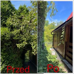 EkoCięcie - Zdjęcie 'przed i po' przycinania drzew i krzewów. Po lewej zarośnięty teren, po prawej schludnie przycięte rośliny i posprzątane gałęzie przy drewnianym domku.