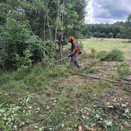 EkoCięcie - Solidna Opieka Nad Ogrodami w Zawierciu