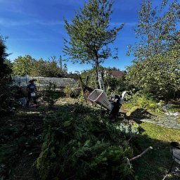 EkoCięcie - Przed domem Zawiercie