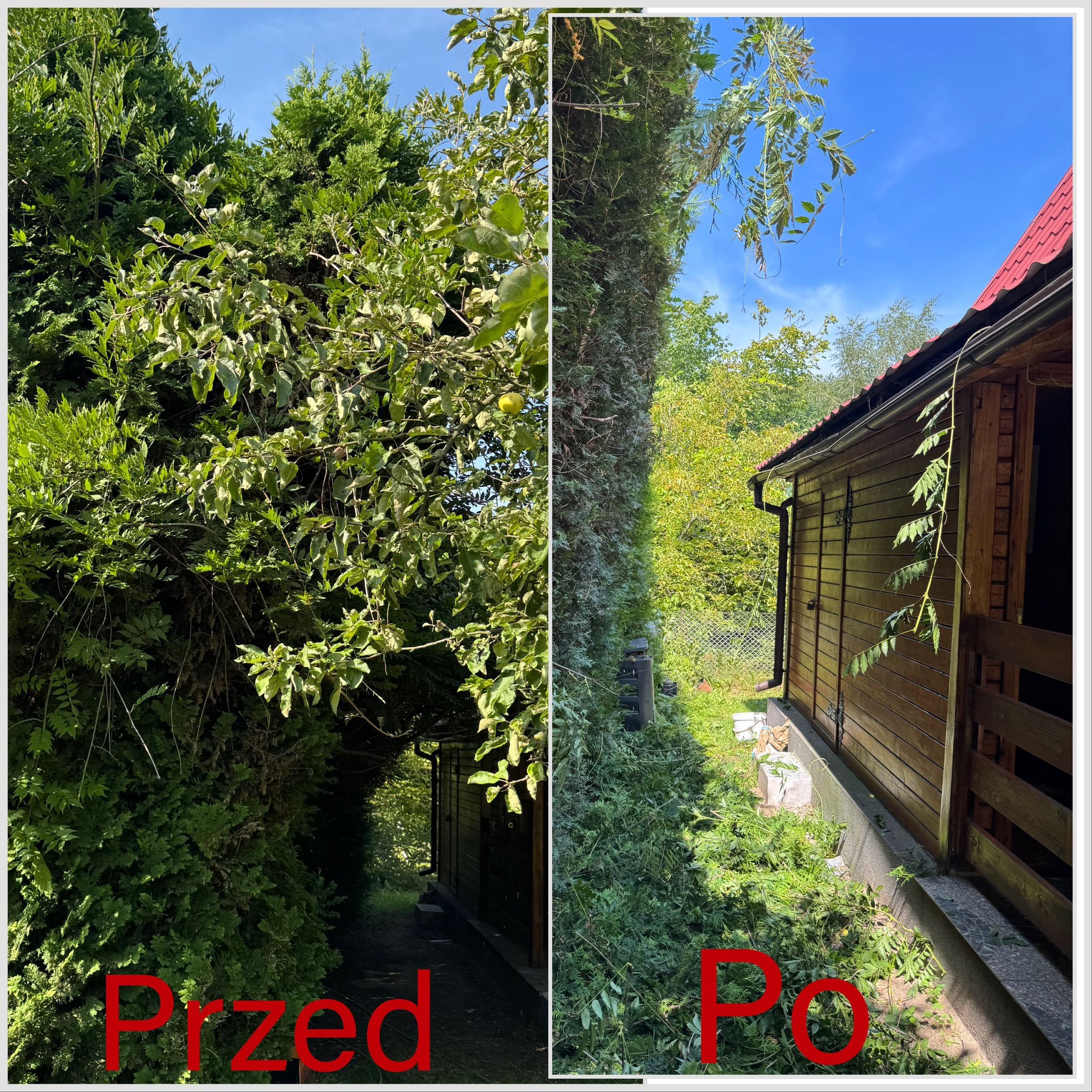 Zdjęcie 'przed i po' przycinania drzew i krzewów. Po lewej zarośnięty teren, po prawej schludnie przycięte rośliny i posprzątane gałęzie przy drewnianym domku.