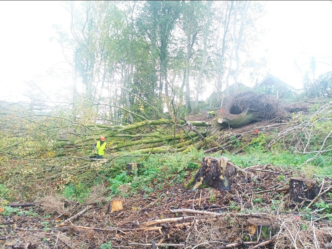 Teren po wycince drzew: pnie, gałęzie i powalone drzewo na zboczu. Pracownik w kamizelce odblaskowej. Widoczne narzędzia i fragment budynku w tle.