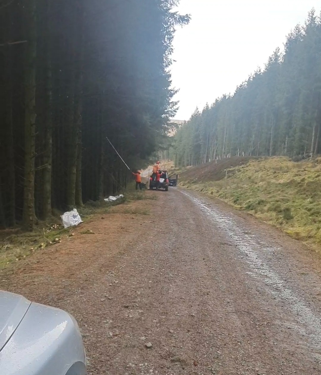 Zespół w pomarańczowych kombinezonach przycina wysokie drzewa w lesie, używając specjalistycznego sprzętu z długim wysięgnikiem. Obok stoi samochód z otwartymi drzwiami.