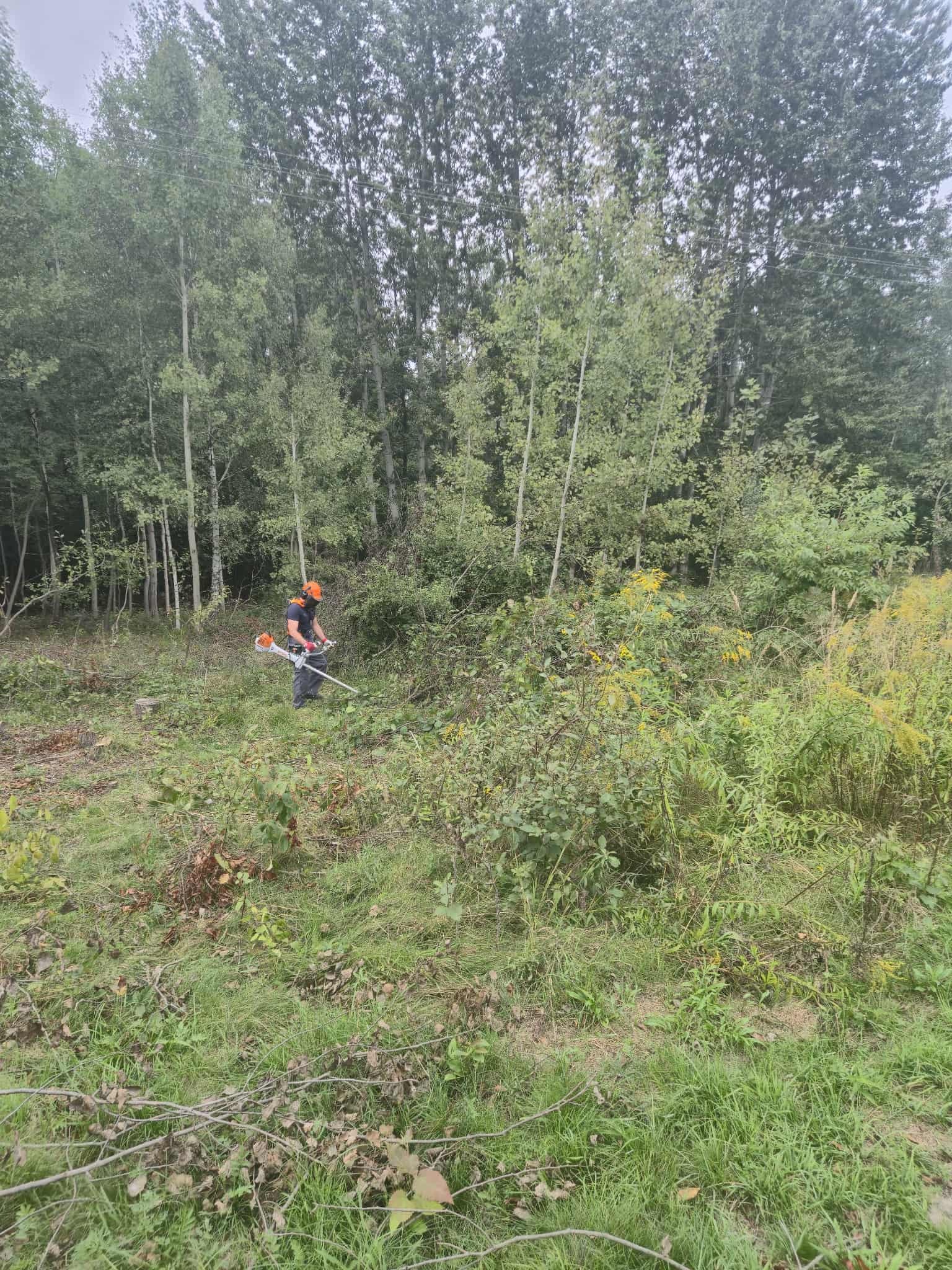 Mężczyzna w kasku i z kosą spalinową w akcji, usuwa zarośla na tle wysokich drzew. Widoczne ścięte gałęzie i trawa, co sugeruje etap prac porządkowych.