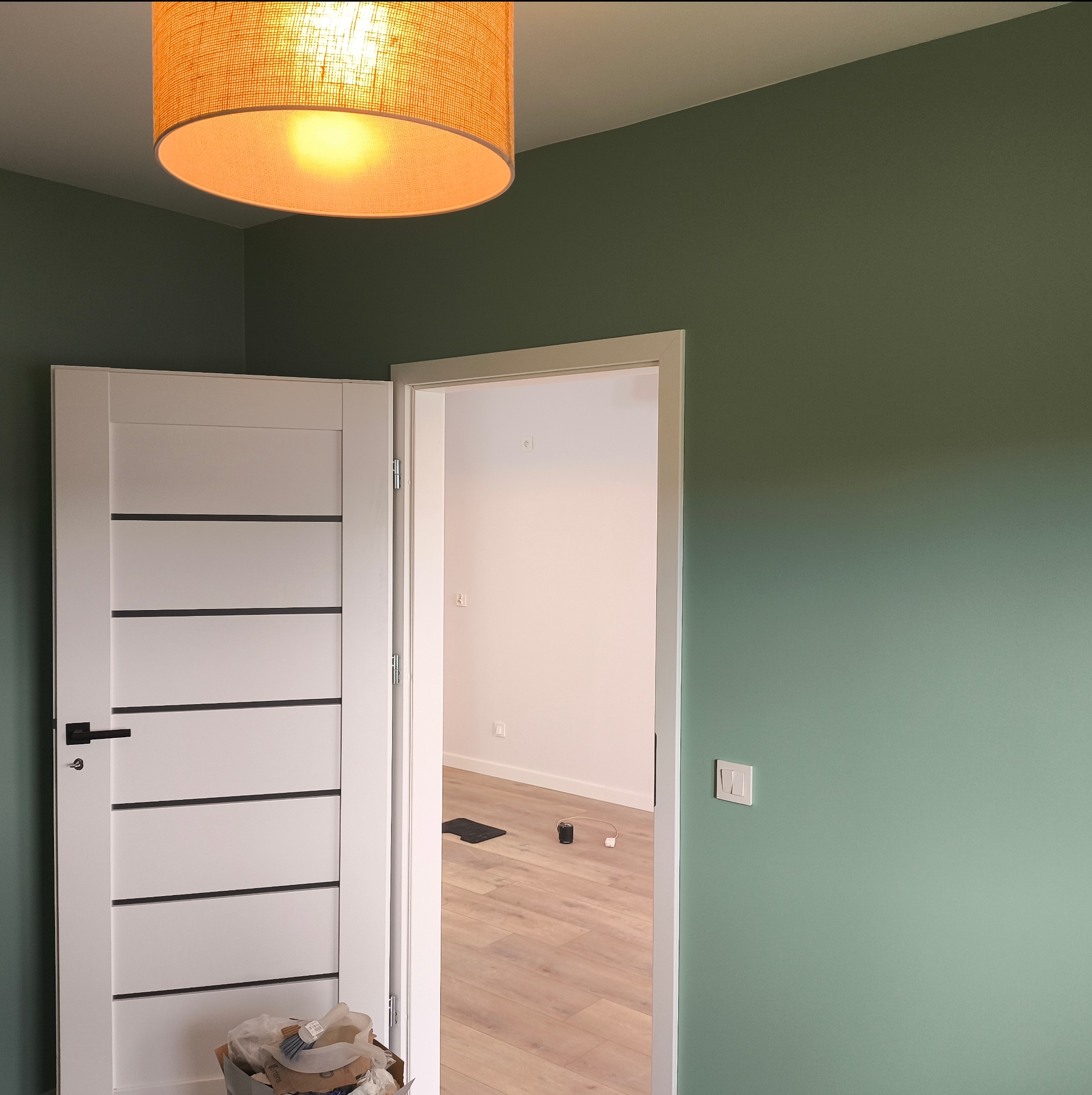 Wnętrze po remoncie: świeżo pomalowane ściany w odcieniach zieleni, nowoczesne drzwi z czarnymi akcentami i widok na jasną podłogę w kolejnym pomieszczeniu.