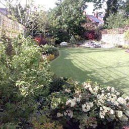 GrowTech Ogrody Jacek Bomba - Zadbany ogród z równo przystrzyżonym trawnikiem, rabatami kwiatowymi i ozdobnymi krzewami. W tle widoczne domy z czerwonej cegły i drzewa.