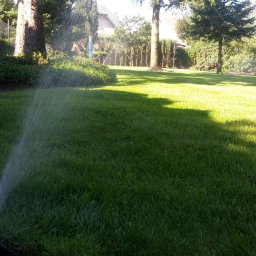 GrowTech Ogrody Jacek Bomba - Zraszacz nawadnia intensywnie zielony trawnik w ogrodzie z dekoracyjną korą i drzewami w tle, w słoneczny dzień. System nawadniania w akcji.