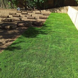 Zakładanie ogrodów Siary 1