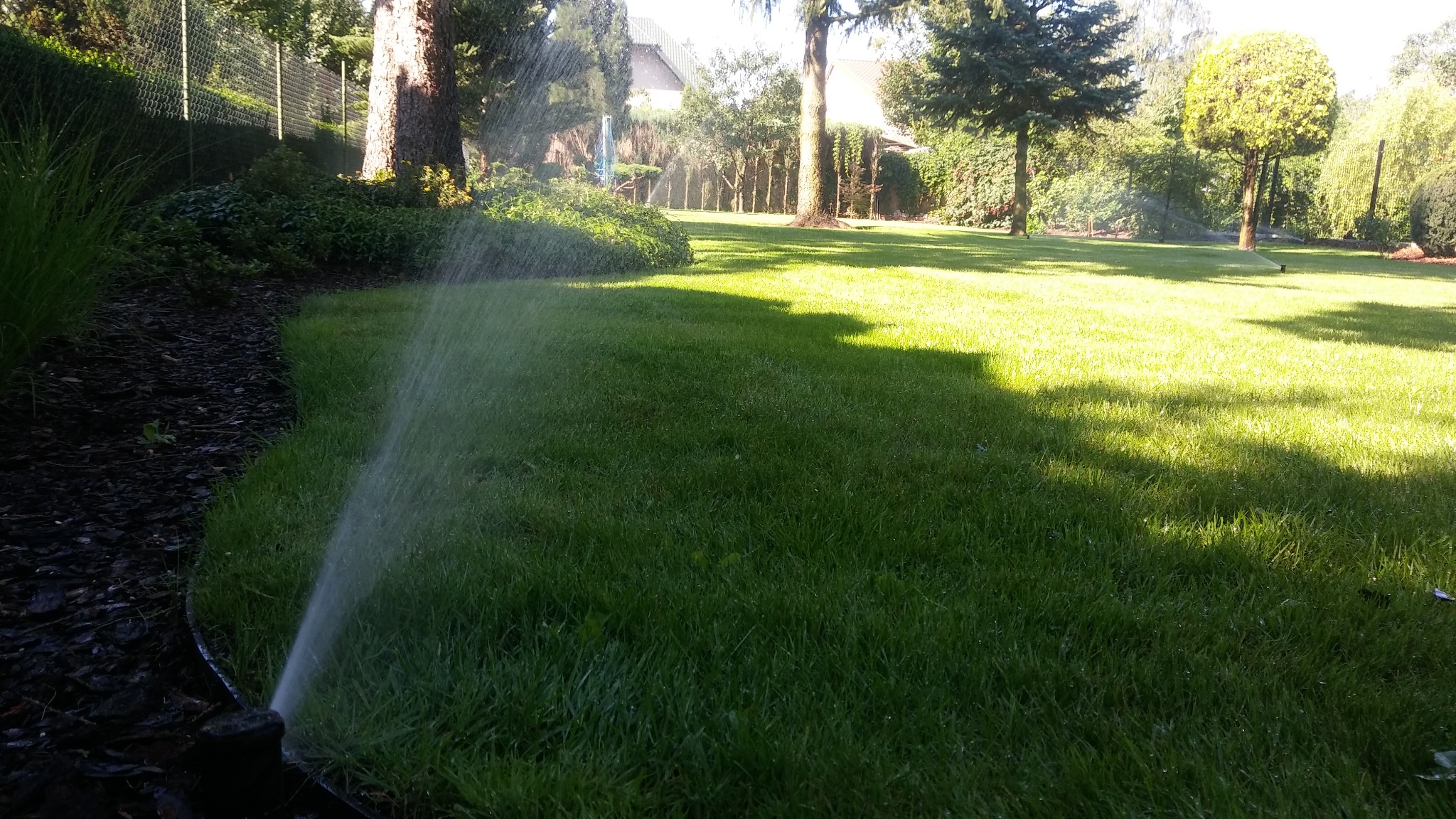 Zraszacz nawadnia intensywnie zielony trawnik w ogrodzie z dekoracyjną korą i drzewami w tle, w słoneczny dzień. System nawadniania w akcji.