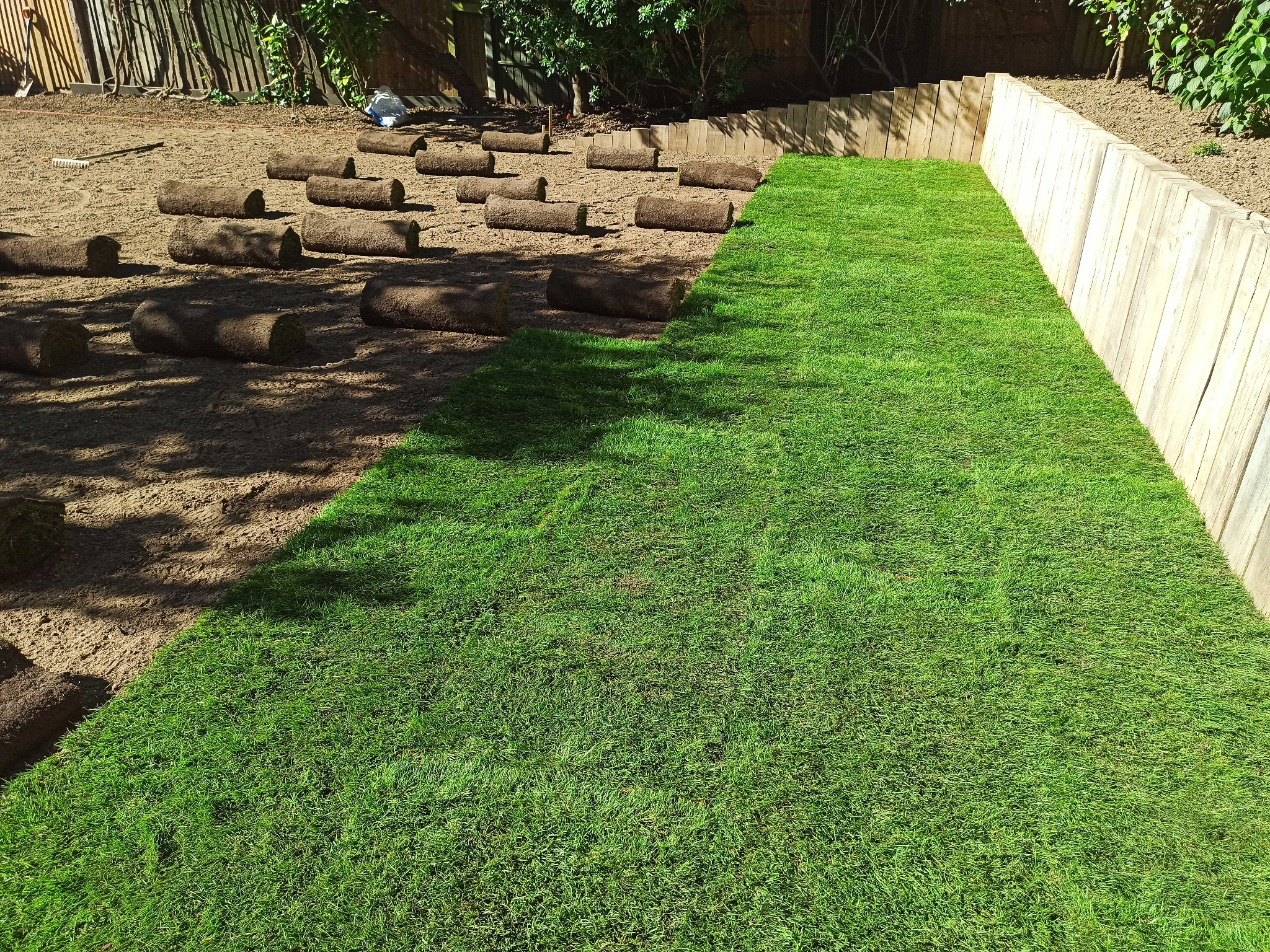 Układanie trawy z rolki: część ułożona, część w rolkach na przygotowanym podłożu. Drewniane obrzeże rabaty. Widok z góry, słoneczny dzień.