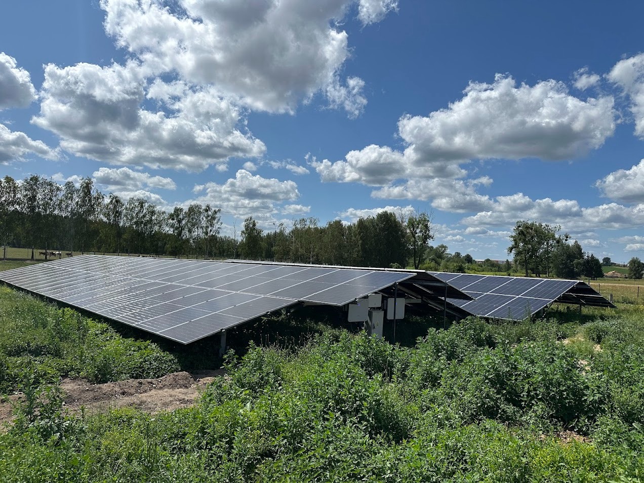 Rozległa farma paneli słonecznych na zielonym terenie pod błękitnym niebem z obłokami, widok z poziomu gruntu, zieleń na pierwszym planie.