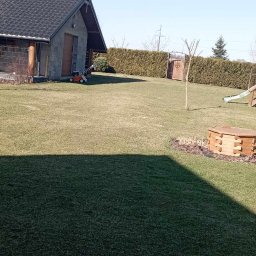 Wertykulacja wczesno wiosenna plus naniesienie nawozu regeneracyjnego