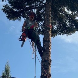 Mateusz Łucjan - Usługi Koparko Ładowarką Kłecko