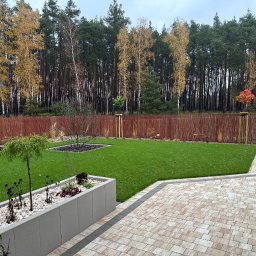 Wycinka drzew Kłecko 4