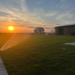 Mateusz Łucjan - Automatyczne nawadnianie trawnika w Kłecku o zachodzie słońca. Zraszacze w akcji, w tle dom, szklarnia i wiata z panelami słonecznymi. Soczysta zieleń trawy.