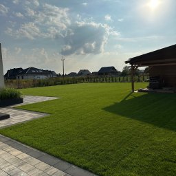 Wycinka drzew Kłecko 1