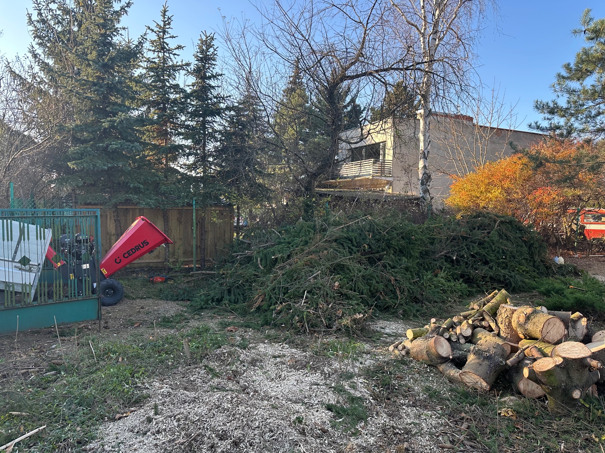 Czerwony rozdrabniacz gałęzi Cedrus obok sterty pociętych gałęzi i drewna na zewnątrz, w tle drzewa i budynek.