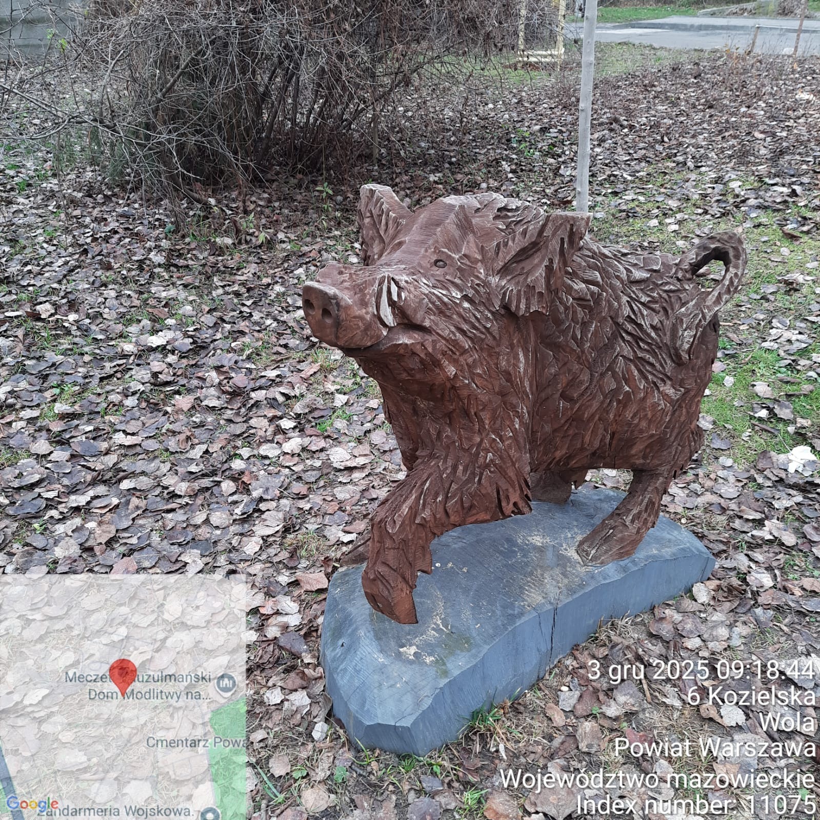 Drewniana rzeźba dzika na kamiennym postumencie, otoczona opadłymi liśćmi. Widoczny adres i data w rogu zdjęcia. Rzeźba z wyraźnymi detalami, w naturalnym otoczeniu.