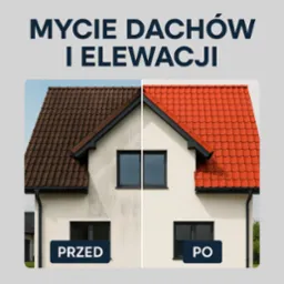 mycie dachów i elewacji