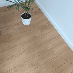 Polwykon - Jasne panele podłogowe ułożone w jodełkę, biała listwa przypodłogowa, doniczka z zieloną rośliną. Ujęcie z góry, widoczny fragment stopy w skarpetce.