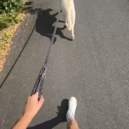 Przepisywanie i skład tekstu Jelenia Góra 2