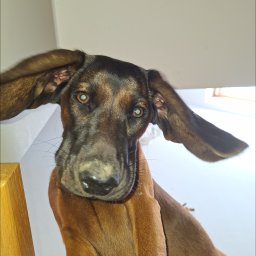 Franciszek Lis - Wizytówki Na Zamówienie Warszawa