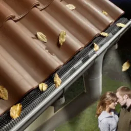 Brązowa dach&oacute;wka z siatką zabezpieczającą rynny przed liśćmi. Kilka spadających liści. W tle para.