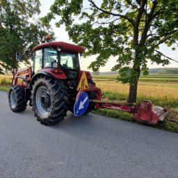 Wycinka drzew Kielce 1