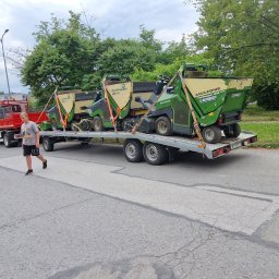 Wycinka drzew Kielce 3