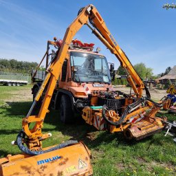 Wycinka drzew Kielce 4