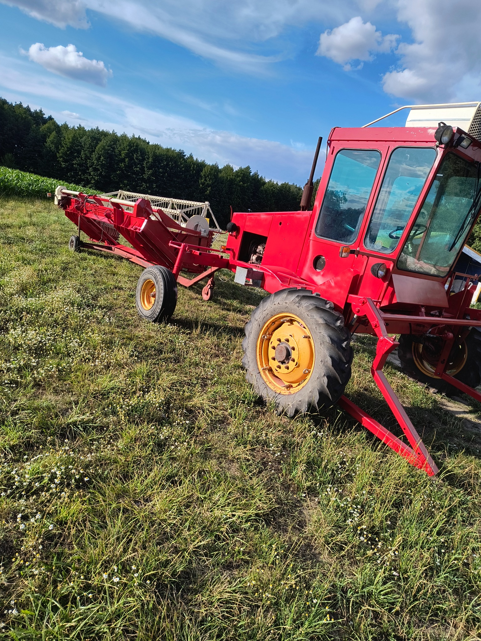 Czerwony kombajn rolniczy na łące, z widocznym zespołem żniwnym i żółtymi felgami, na tle błękitnego nieba i lasu. Maszyna stoi na trawie.