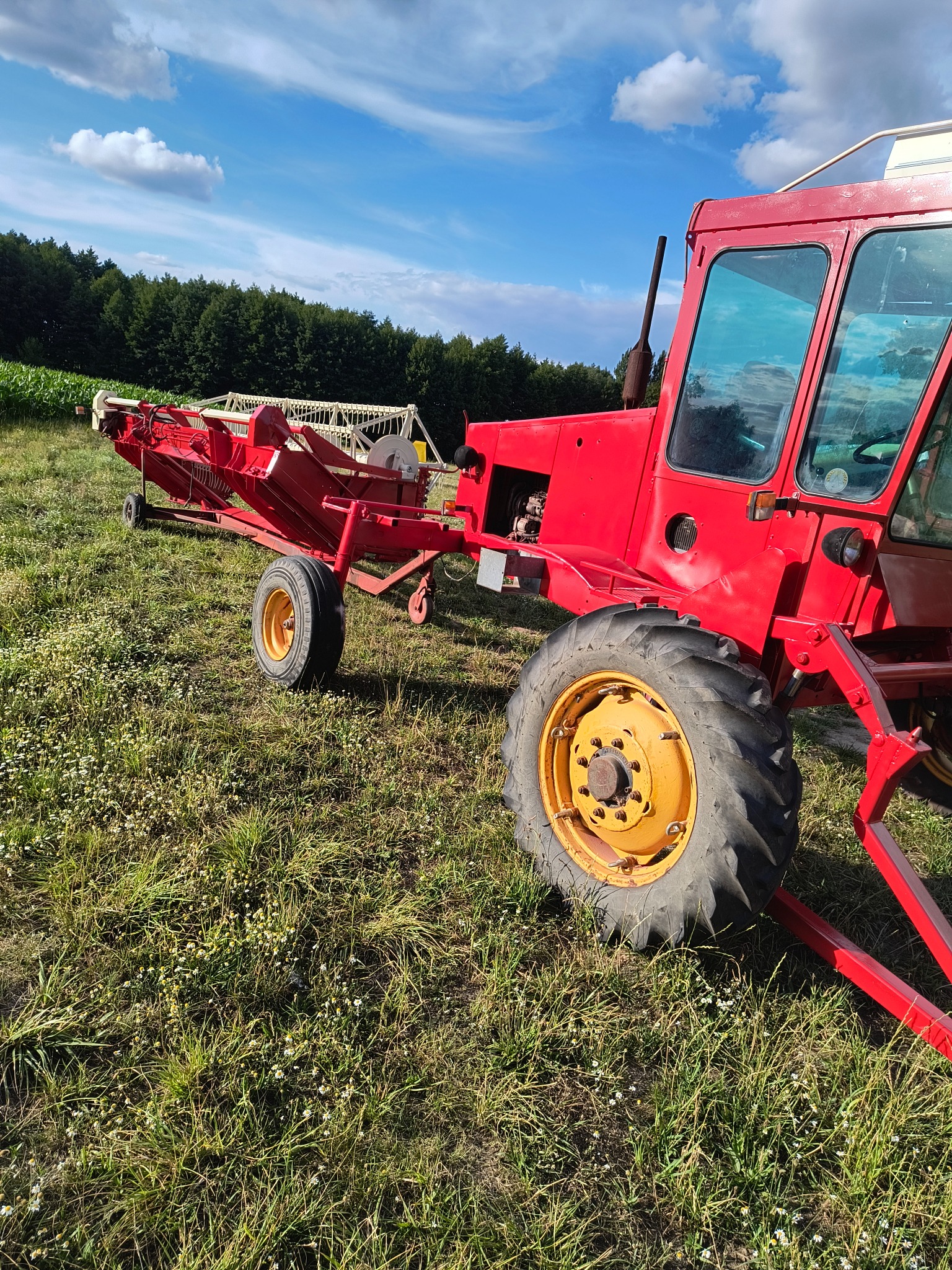 Czerwony traktor z żółtymi felgami i podłączoną maszyną rolniczą na łące, pod błękitnym niebem z chmurami. Widok z boku, na pierwszym planie trawa.