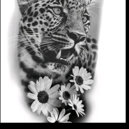 Dream tattoo - Czarno-biały tatuaż na ciele z motywem jaguara i kwiatów, artystyczny projekt, widoczne detale sierści i płatków, wykonany w technice cieniowania.