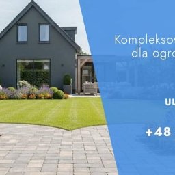 Zapraszam do kontaktu !!!