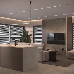 Nycz.design - Salon z wyspą kuchenną, minimalistycznym oświetleniem i marmurową ścianą TV. Roślina doniczkowa dodaje naturalnego akcentu. Nowoczesny design wnętrza.