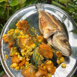 Catering dla firm Wrocław 2